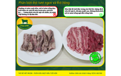 THỊT BÒ MÁT LÀ GÌ? MÙI VÀ MÀU SẮC ĐẶC TRƯNG CỦA SẢN PHẨM THỊT BÒ MÁT PACOW