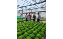 PACOW INTERNATIONAL VINH DỰ THAM GIA CHƯƠNG TRÌNH THAM QUAN, HỌC TẬP CÁC MÔ HÌNH NÔNG NGHIỆP ỨNG DỤNG CÔNG NGHỆ CAO TẠI TỈNH KON TUM VÀ TỈNH LÂM ĐỒNG