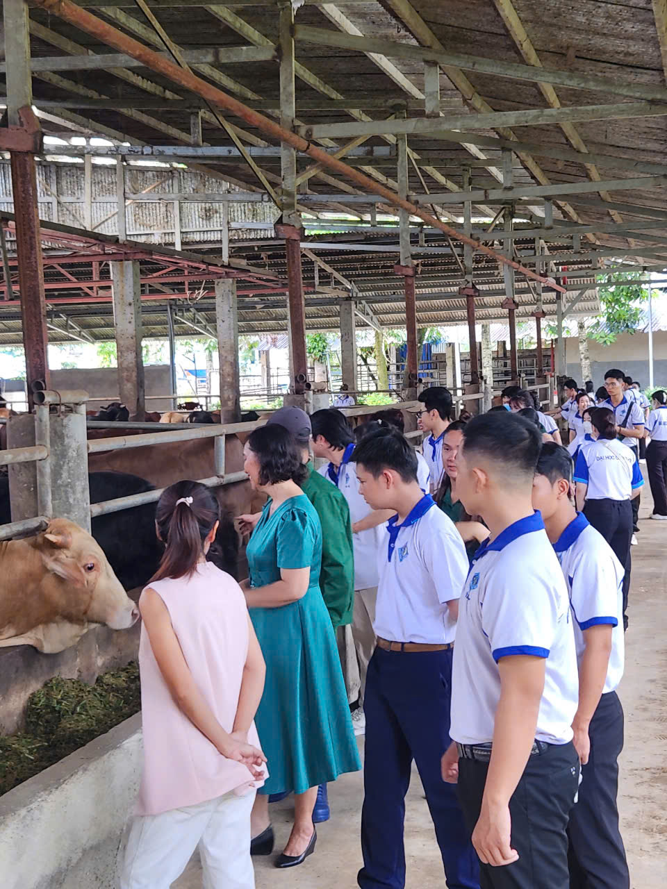 Sinh viên Đại học Cần Thơ tham quan nhà máy Pacow
